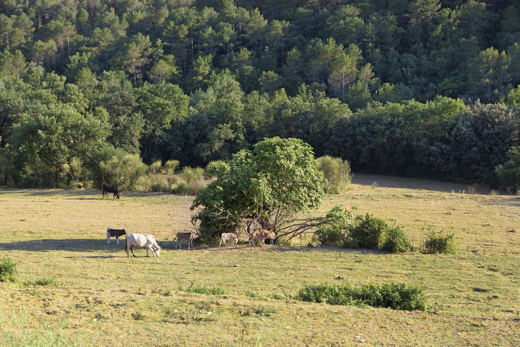 Séjour à la campagne Masoveria De